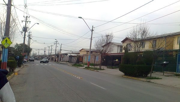 Veterinaria Municipal La Pintana- Cuidado Integral